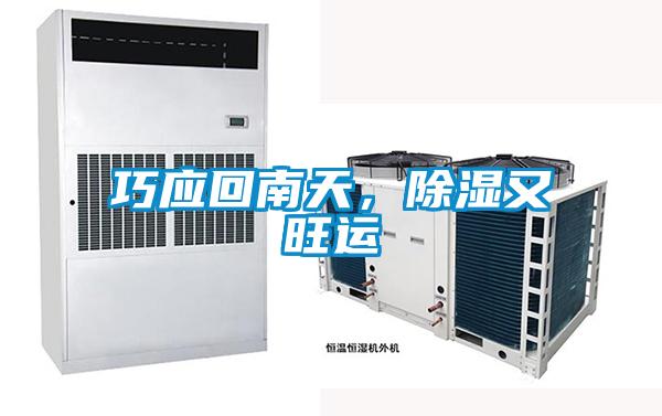 巧应回南天，香蕉福利视频又旺运