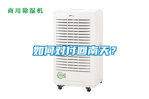 如何对付回南天？