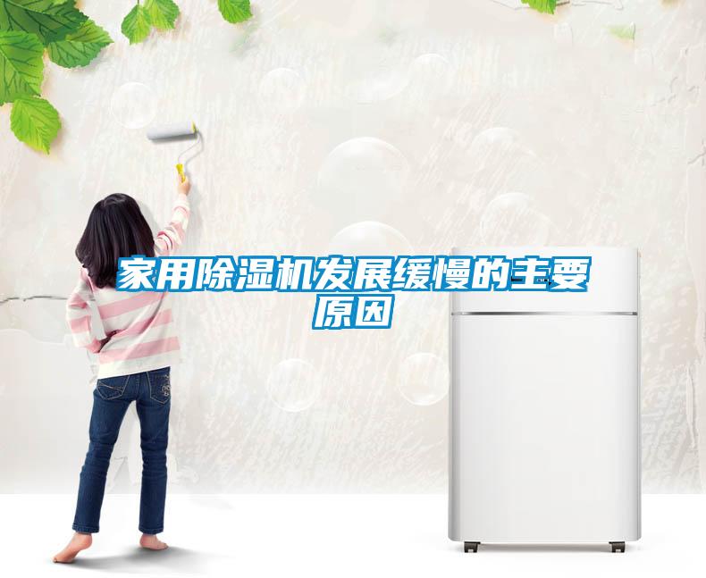 家用香蕉福利视频机发展缓慢的主要原因