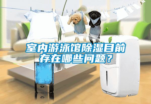 室内游泳馆香蕉福利视频目前存在哪些问题?