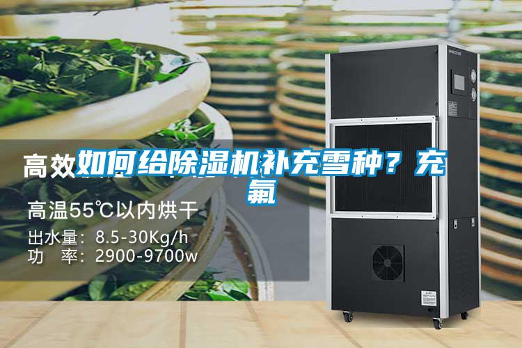 如何给香蕉福利视频机补充雪种？充氟
