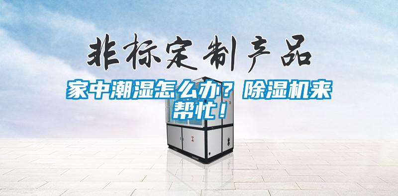 家中潮湿怎么办？香蕉福利视频机来帮忙！