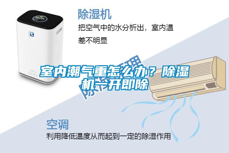 室内潮气重怎么办？香蕉福利视频机一开即除