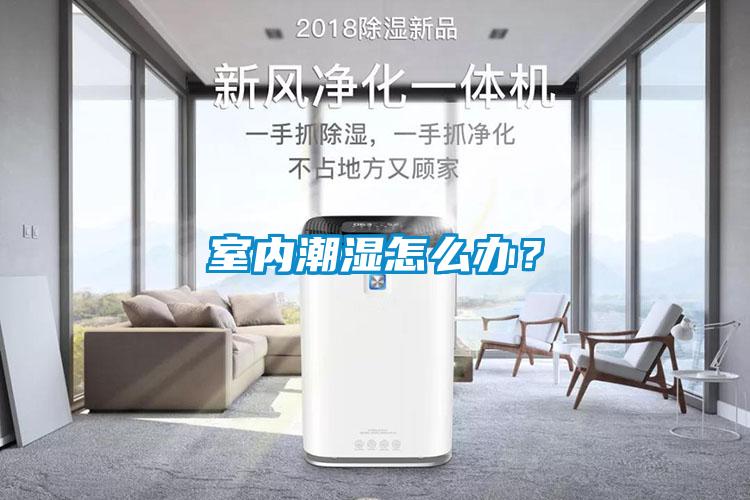 室内潮湿怎么办？