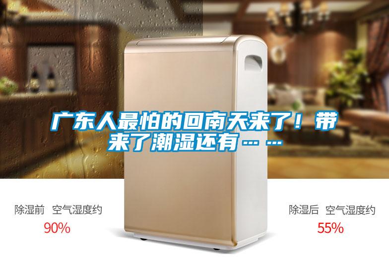 广东人最怕的回南天来了！带来了潮湿还有……