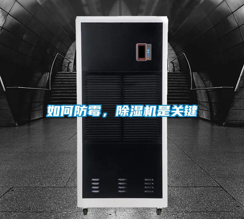 如何防霉，香蕉福利视频机是关键