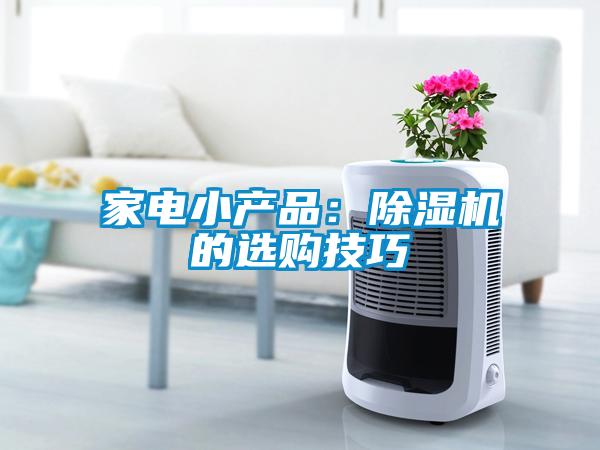 家电小产品：香蕉福利视频机的选购技巧