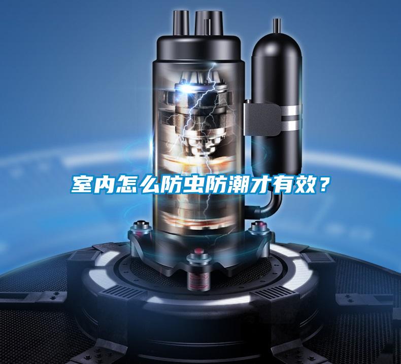 室内怎么防虫防潮才有效？