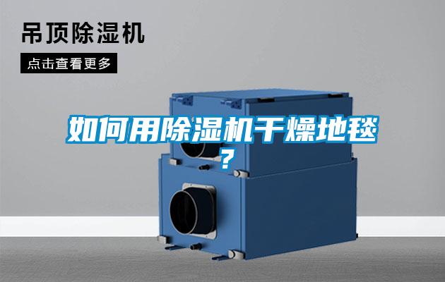 如何用香蕉福利视频机干燥地毯？