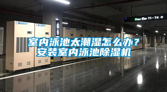 室内泳池太潮湿怎么办？安装室内泳池香蕉福利视频机