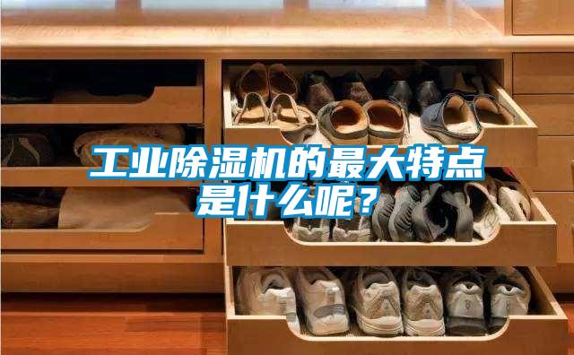 工业香蕉福利视频机的最大特点是什么呢？