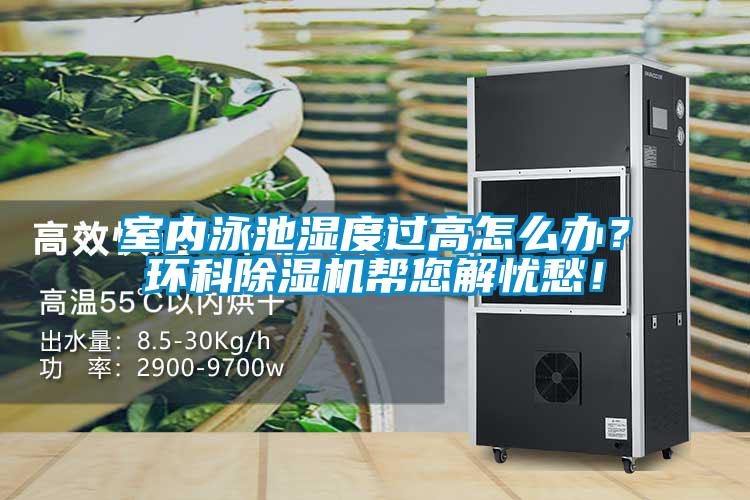 室内泳池湿度过高怎么办？环科香蕉福利视频机帮您解忧愁！
