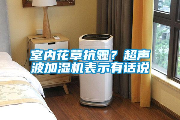 室内花草抗霾？超声波加湿机表示有话说