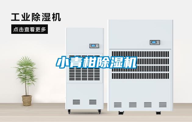 小青柑香蕉福利视频机