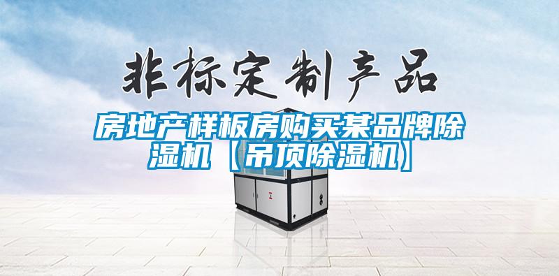 房地产样板房购买某品牌香蕉福利视频机【吊顶香蕉福利视频机】