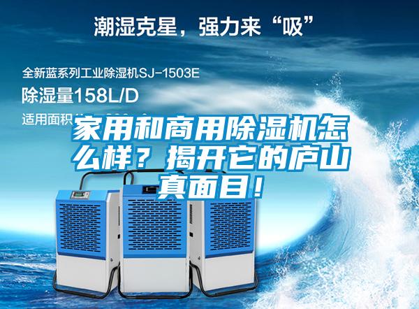 家用和商用香蕉福利视频机怎么样？揭开它的庐山真面目！