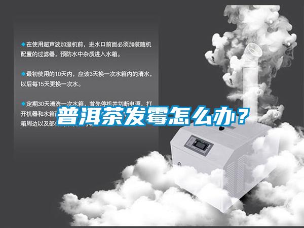 普洱茶发霉怎么办？