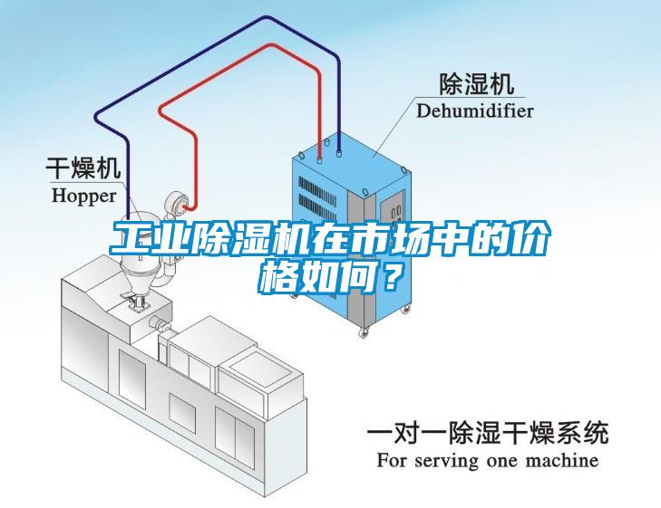工业香蕉福利视频机在市场中的价格如何？