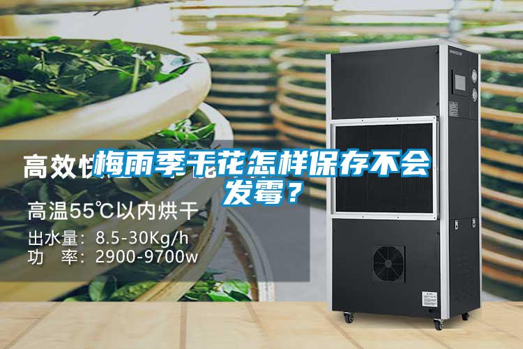 梅雨季干花怎样保存不会发霉？