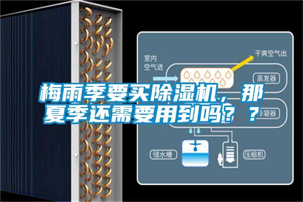 梅雨季要买香蕉福利视频机，那夏季还需要用到吗？？