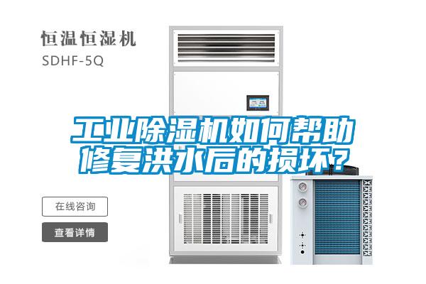 工业香蕉福利视频机如何帮助修复洪水后的损坏？