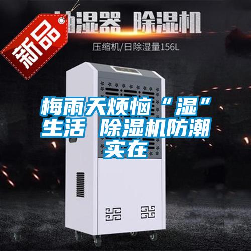 梅雨天烦恼“湿”生活 香蕉福利视频机防潮实在