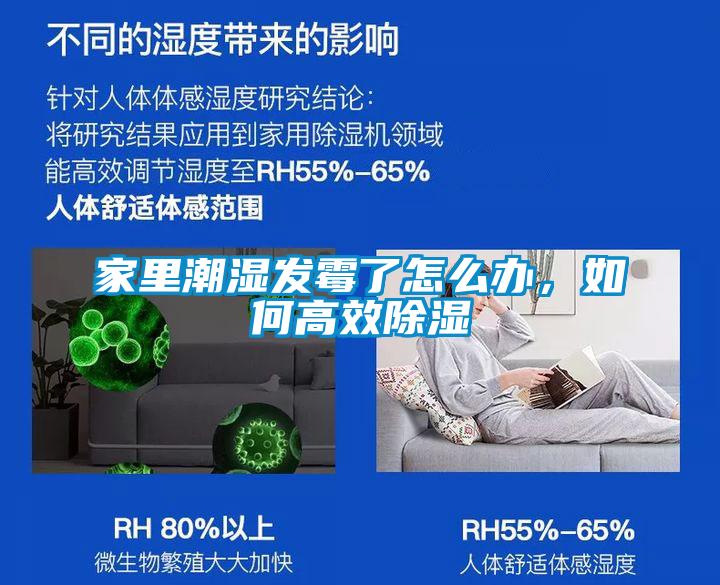 家里潮湿发霉了怎么办，如何高效香蕉福利视频
