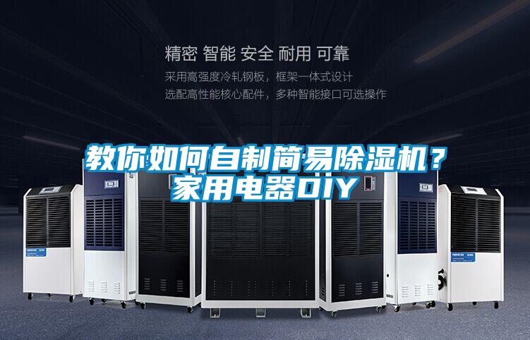 教你如何自制简易香蕉福利视频机？家用电器DIY