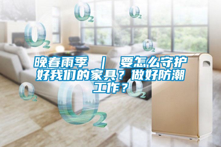晚春雨季 ｜ 要怎么守护好大香蕉官网的家具？做好防潮工作？