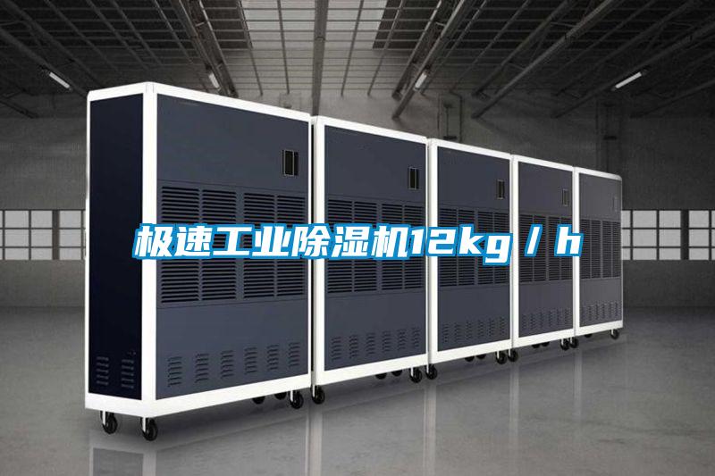 极速工业香蕉福利视频机12kg／h