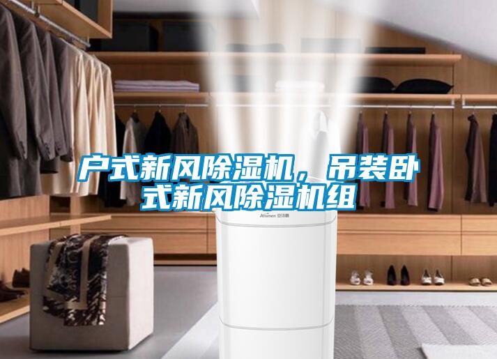 户式新风香蕉福利视频机，吊装卧式新风香蕉福利视频机组