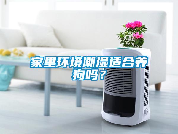 家里环境潮湿适合养狗吗？