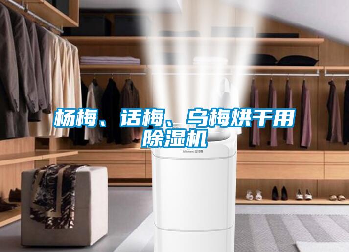 杨梅、话梅、乌梅烘干用香蕉福利视频机
