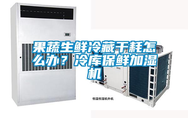 果蔬生鲜冷藏干耗怎么办？冷库保鲜加湿机
