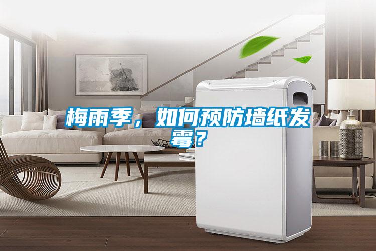 梅雨季，如何预防墙纸发霉？