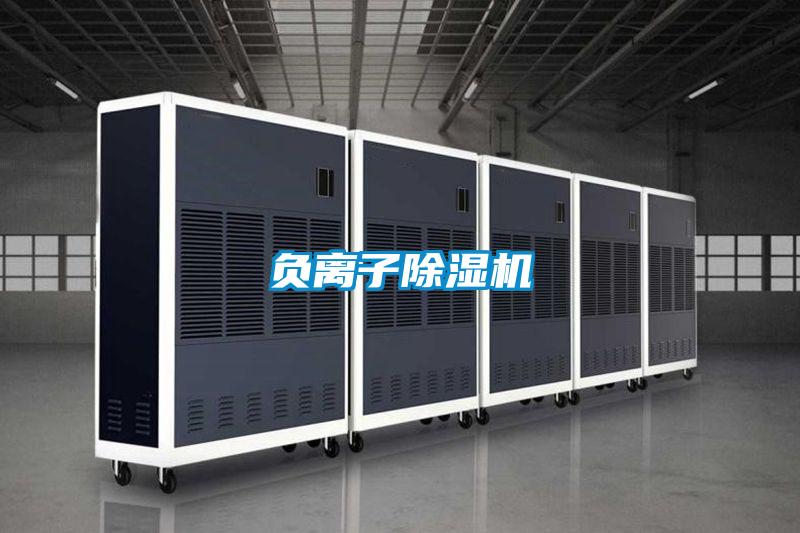 负离子香蕉福利视频机