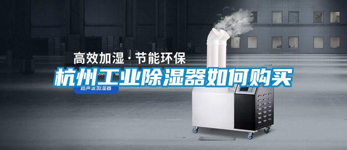 杭州工业香蕉福利视频器如何购买