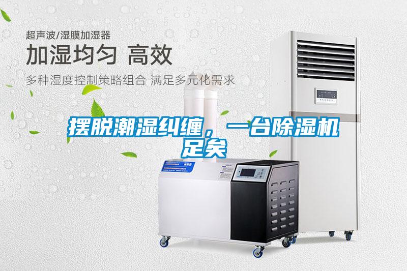 摆脱潮湿纠缠，一台香蕉福利视频机足矣