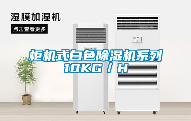 柜机式白色香蕉福利视频机系列10KG／H