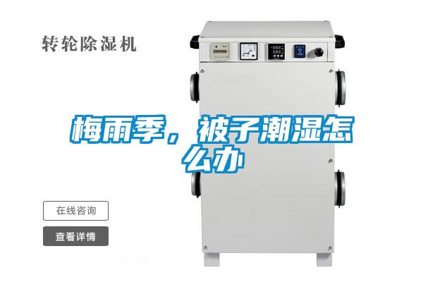 梅雨季，被子潮湿怎么办