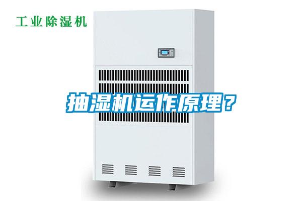 抽湿机运作原理？