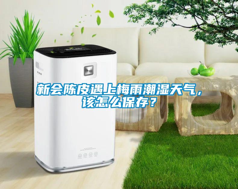 新会陈皮遇上梅雨潮湿天气，该怎么保存？