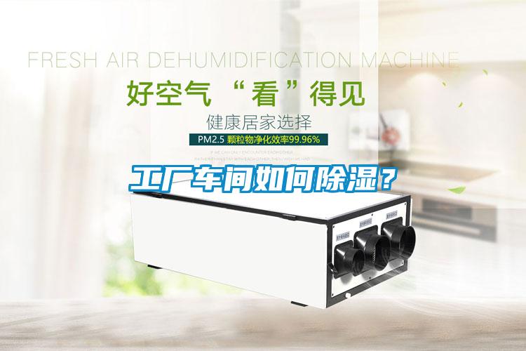 工厂车间如何香蕉福利视频？
