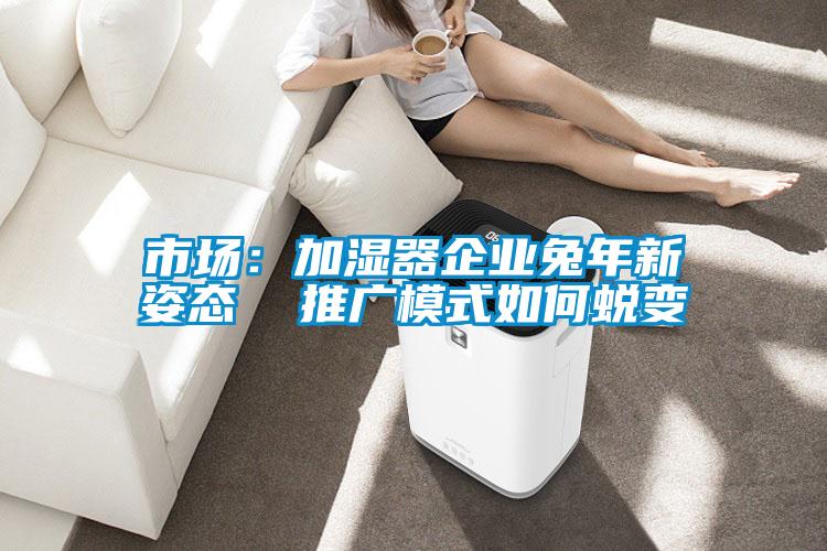 市场：加湿器企业兔年新姿态  推广模式如何蜕变