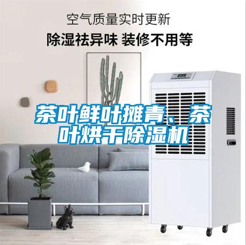 茶叶鲜叶摊青、茶叶烘干香蕉福利视频机