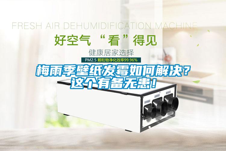 梅雨季壁纸发霉如何解决？这个有备无患！