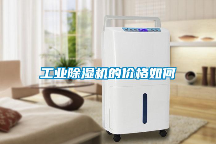 工业香蕉福利视频机的价格如何