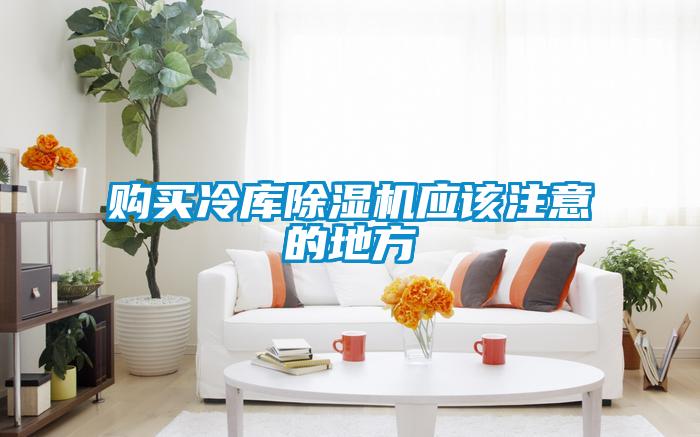 购买冷库香蕉福利视频机应该注意的地方