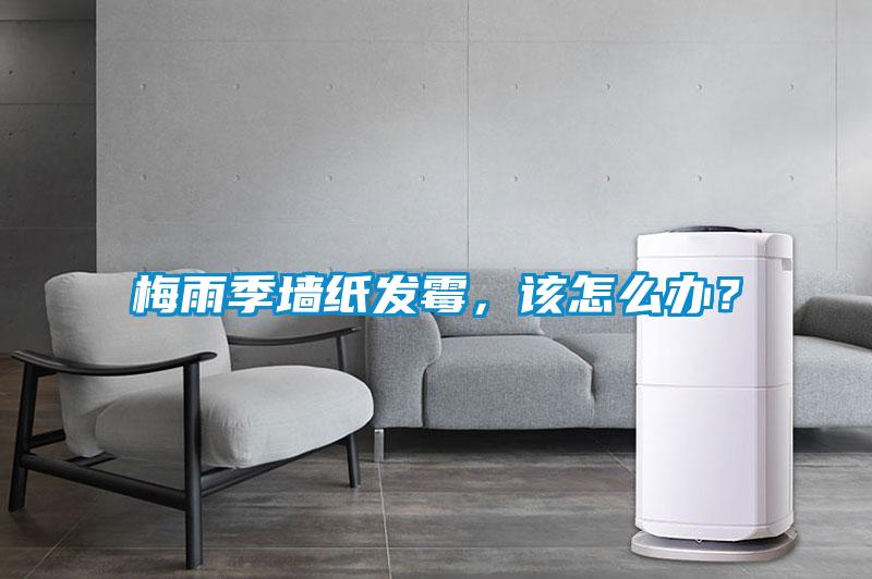 梅雨季墙纸发霉，该怎么办？