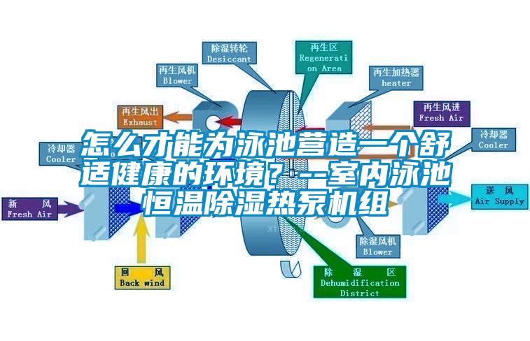 怎么才能为泳池营造一个舒适健康的环境?--室内泳池恒温香蕉福利视频热泵机组